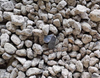 Mainly used for manufacturing high-quality refractory products Rotary kiln calcined bauxite 